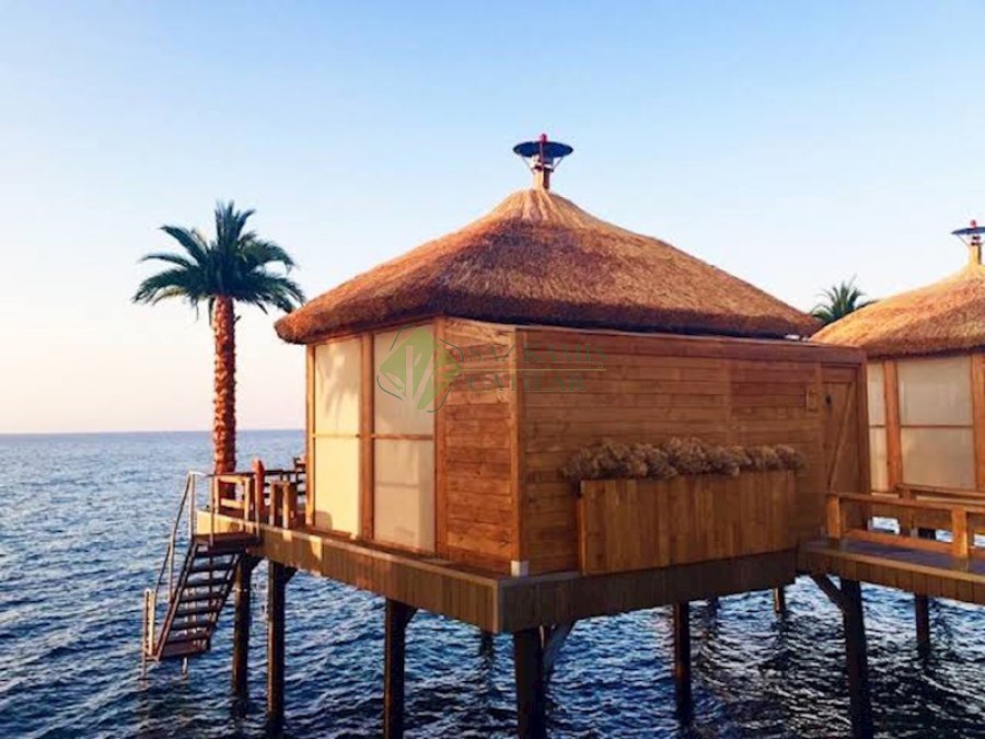 hasir-kamelya-dogallik-ve-estetigi-birlestiren-bir-bahce-detayi